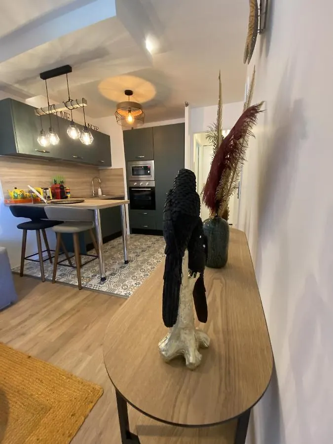 Le Jungle : T2 Avec Jardin Et Jacuzzi Apartment Blagnac