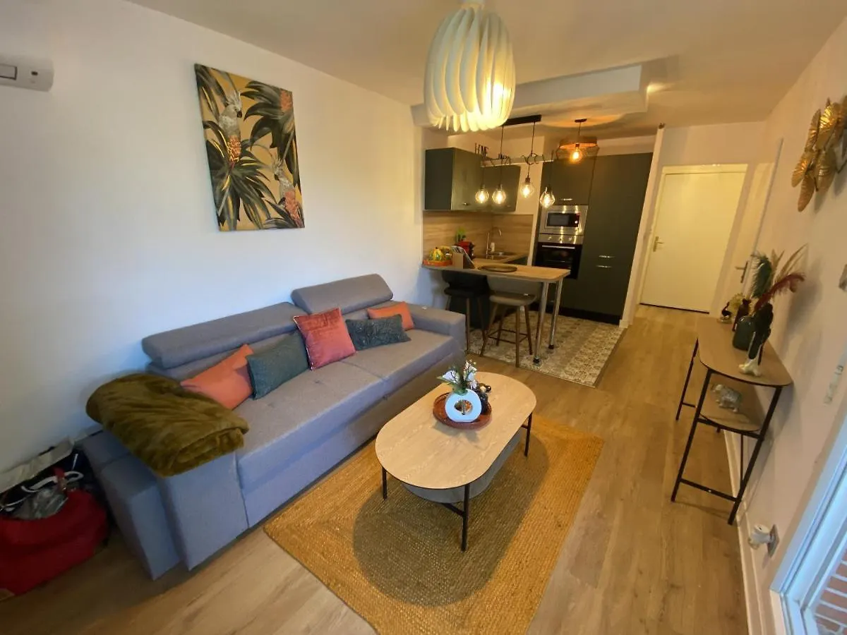 Le Jungle : T2 Avec Jardin Et Jacuzzi Apartment Blagnac France