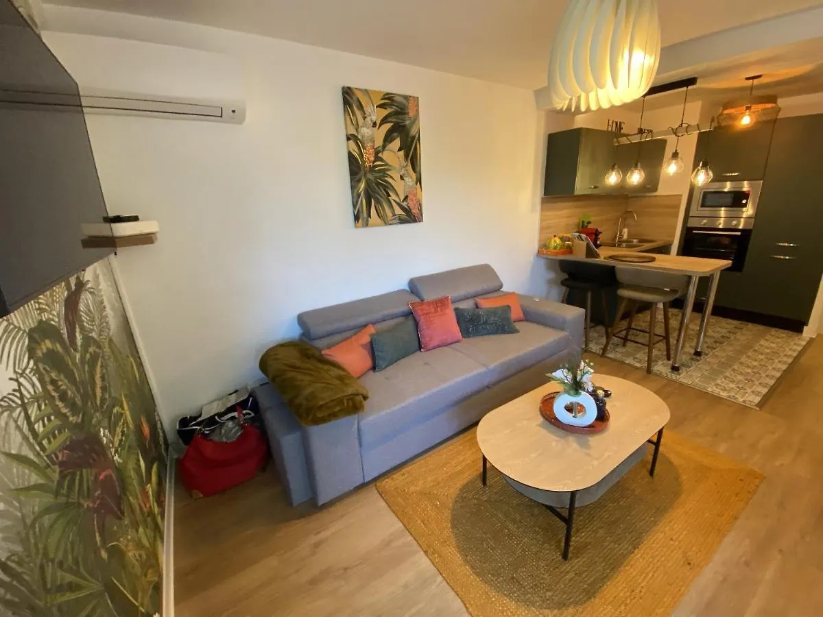 Le Jungle : T2 Avec Jardin Et Jacuzzi Apartment Blagnac