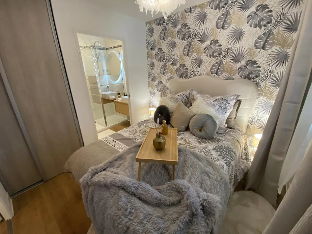 Le Jungle : T2 Avec Jardin Et Jacuzzi Apartment Blagnac France