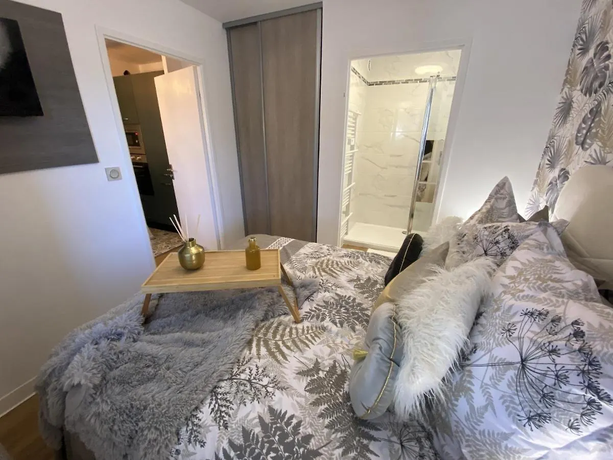 Le Jungle : T2 Avec Jardin Et Jacuzzi Apartment Blagnac 0*,  France